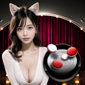 Okjl live casino